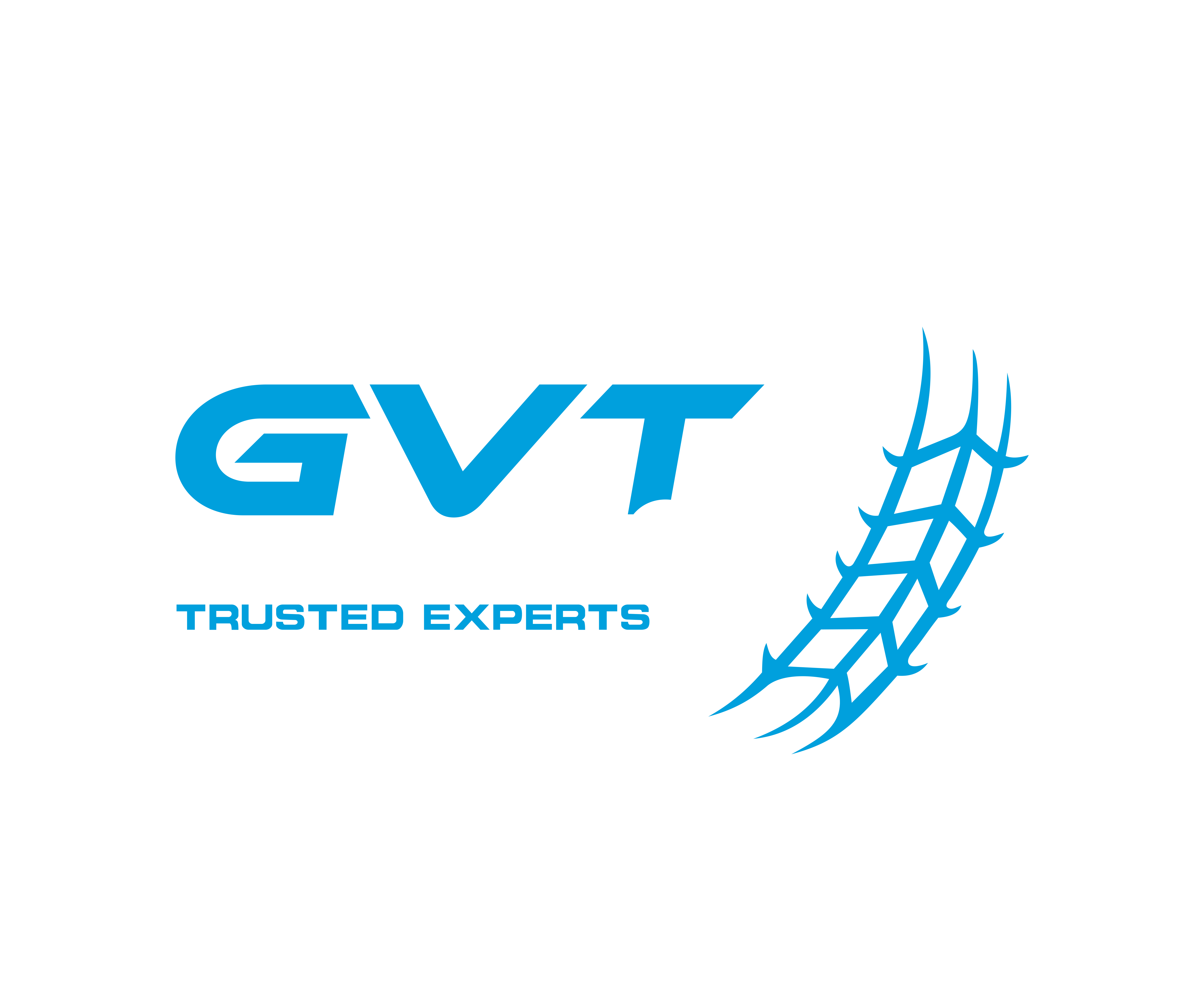 Golden Valley Tire & Service - (Golden Valley, MN)